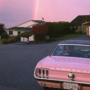 一级婬片A片AAAA毛片A级
